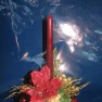 cvecara-ikebana-becej